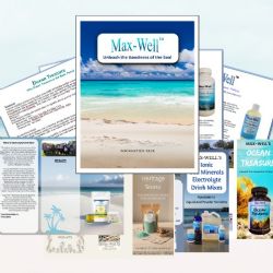 Dealer literature